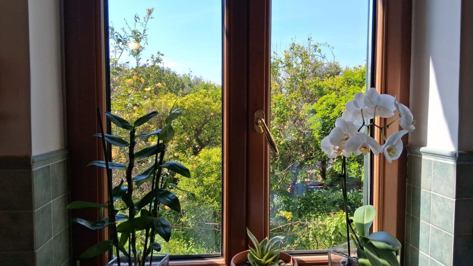 Il Giardino Dei Gigli Lejlighed Meta Eksteriør billede