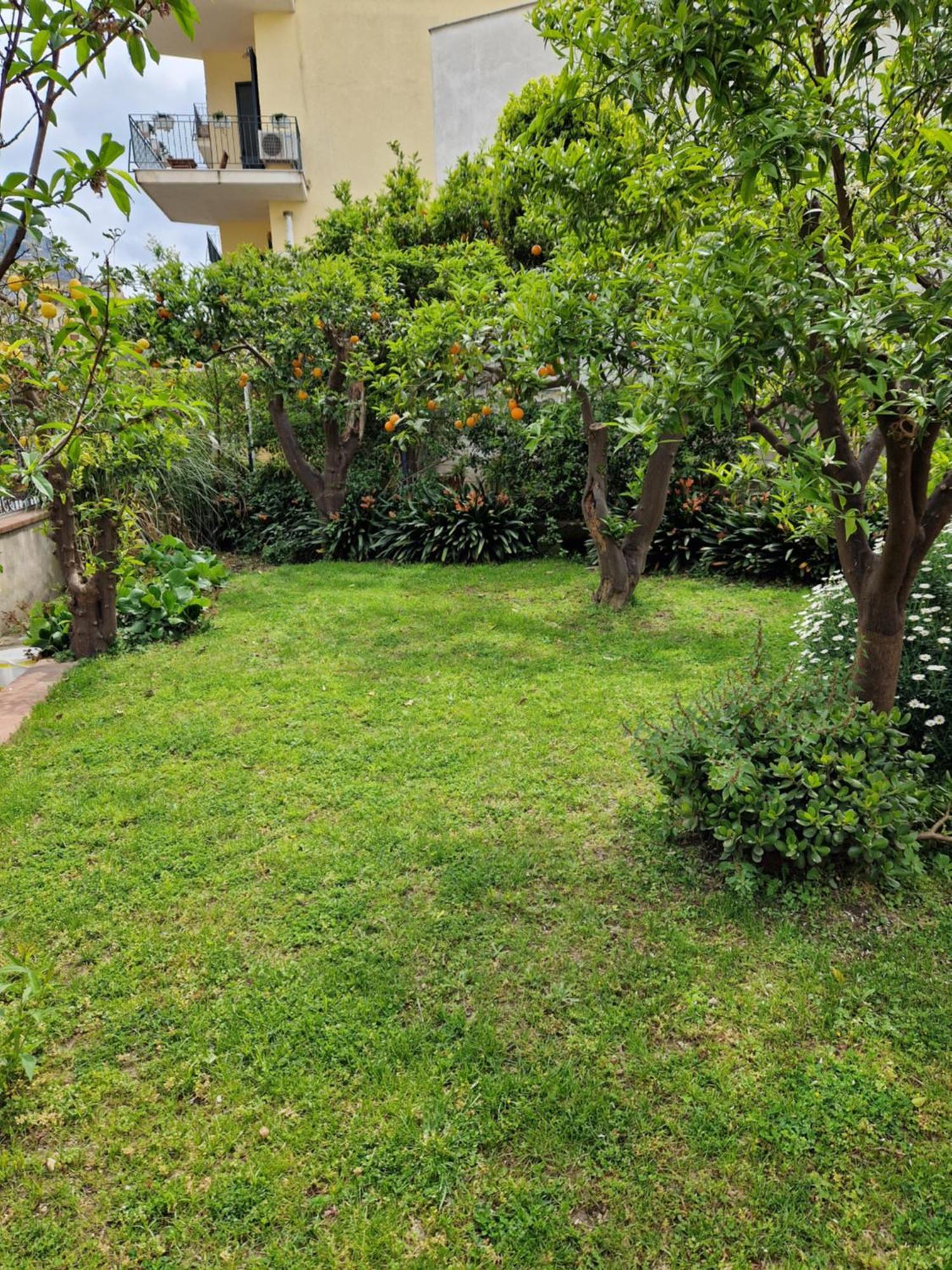 Il Giardino Dei Gigli Lejlighed Meta Eksteriør billede